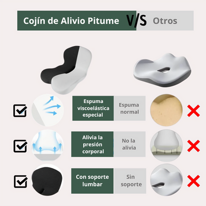 Cojín de Alivio Express + Guía GRATIS